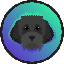 ico